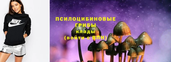 стафф Новокубанск