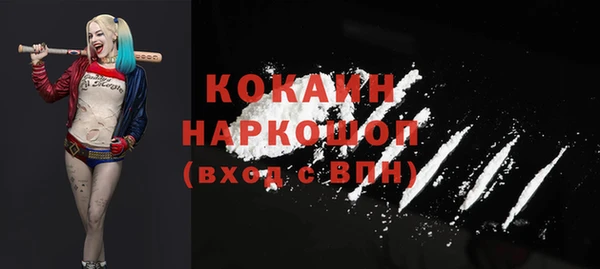 стафф Новокубанск