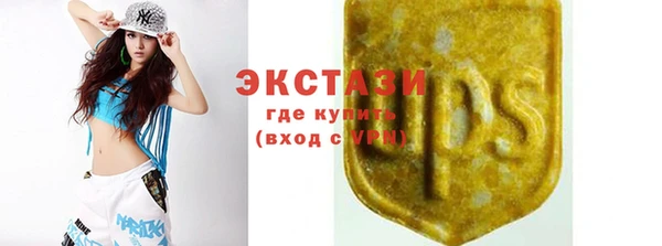 твердый Новозыбков