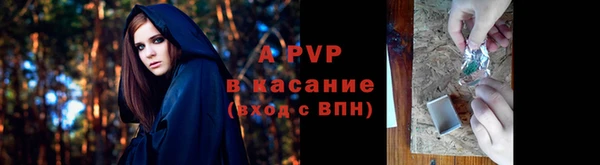 твердый Новозыбков
