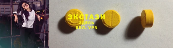 твердый Новозыбков