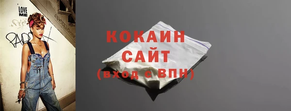 твердый Новозыбков