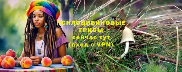 каннабис Новодвинск