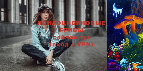 стафф Новокубанск