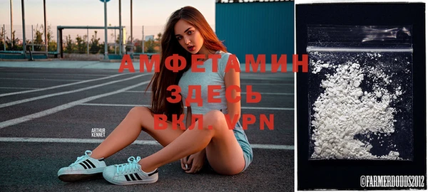 стафф Новокубанск