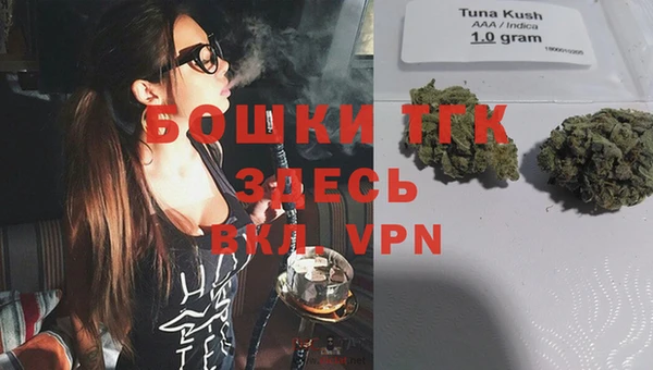 твердый Новозыбков