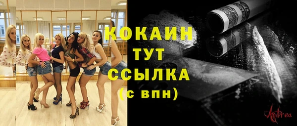стафф Новокубанск