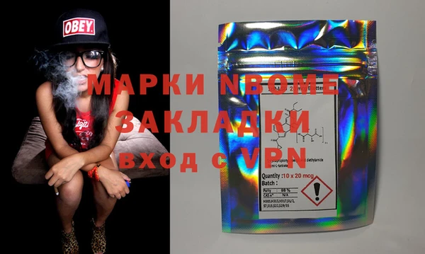 твердый Новозыбков