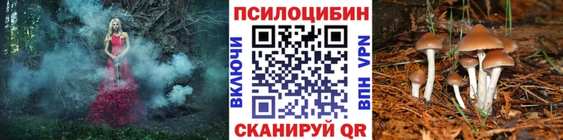 Купить где  Сусуман  Галлюциногенные грибы мухоморы 